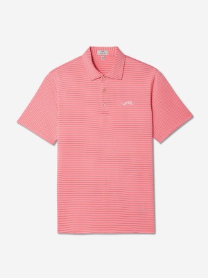 Sun Day Red Classic Stripe Polo Koralove | NEARHCS-49
